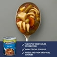 thumbnail image 3 of Progresso Vegetable Soup, Vegetable Classics Canned Soup, 19 oz (Pack of 8), 3 of 5