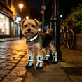 thumbnail image 5 of 4 Pcs Waterproof Dog Shoes with Reflective Straps, Breathable Non-Slip Boots for Large Dogs, Paw Protection for Daily Walking, 5 of 6
