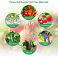thumbnail image 4 of 100 Pcs Clips de Support pour Plantes de Jardin en Matériau Résilient Inodore, Utilisation Simple pour Lier les Tomates et Empêcher les Grappes de Fruits de Tomber, 4 of 5