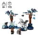 thumbnail image 2 of Juego de criaturas mágicas LEGO Harry Potter del Bosque Prohibido 76432, 2 of 9