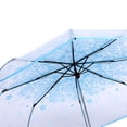 thumbnail image 3 of Clear Folding Umbrella with Romantic Cherry Blossom Motif, Lightweight Portable Rain Umbrella for Commuting and Travel, Manual Open, 36.6 inches / 93 cm, Blue Color, 3 of 9