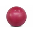 thumbnail image 1 of MD Buddy Exercise Ball 55 cm Pink with Pump, 1 of 1