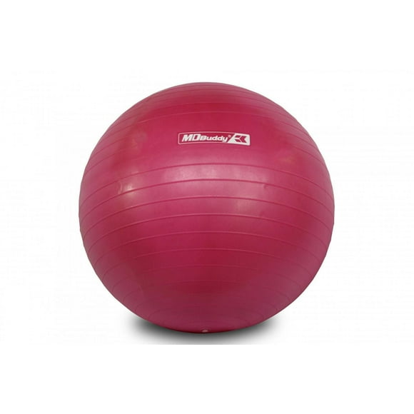 MD Buddy Exercise Ball 55 cm Pink with Pump