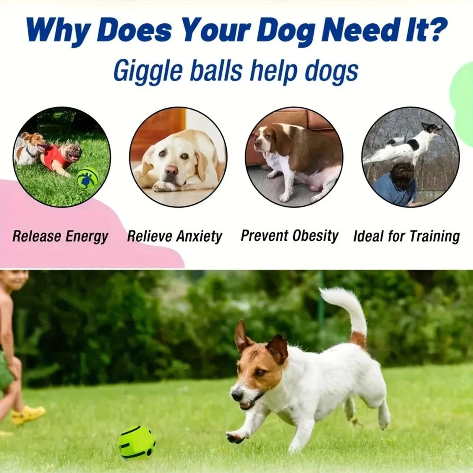 BYXAS 3 Pcs Dog Toys Ball, Interactive Dog Ball, Shaking with Gibbering Sound,Fun Giggle Sounds When Rolled or Shaken for Training & Herding, XL, 5.51 in (14 cm)