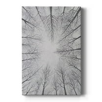 Deciduous Canopy I Premium Gallery Wrapped Canvas - Ready to Hang