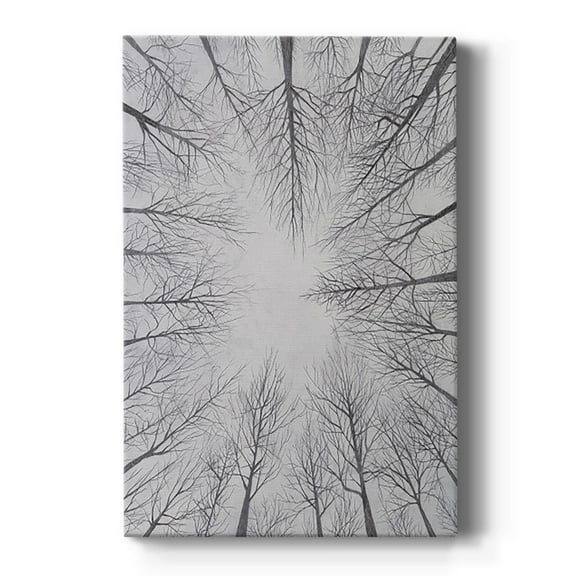 Deciduous Canopy I Premium Gallery Wrapped Canvas - Ready to Hang