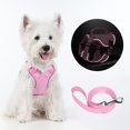 thumbnail image 3 of Dog Harness for Small Dogs No Pull, Puppy Harness and Leash Set, Step in Dog Harness for Walking, Running, Training, Small Dog Vest, 3 of 9