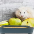 thumbnail image 4 of Caja de arena de conejo Batio de plástico para mascotas pequeñas jaula de jaula de jaula de entrenamiento de baño de conejo, 4 of 8