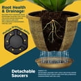 thumbnail image 4 of Whiskey Barrel Planters Lifemaster 10-Pack 25cm Plastic, 4 of 7