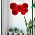 thumbnail image 6 of HOMEMAXS  12 Pcs Round Paper Fan Flower Party Decoration Office Baby, 6 of 8