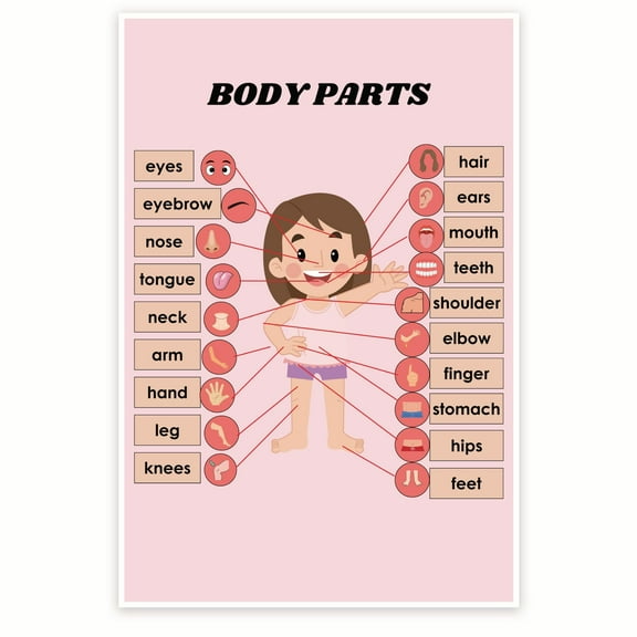 Bliss Monkey Co. Girls Body Parts Poster - Anatomy Chart For Girls - Biology Classroom Poster - Visual Learning Tool 12 x 18 Inch Poster - Unframed - Premium 100lb Gloss - Made In USA - BMCP0367