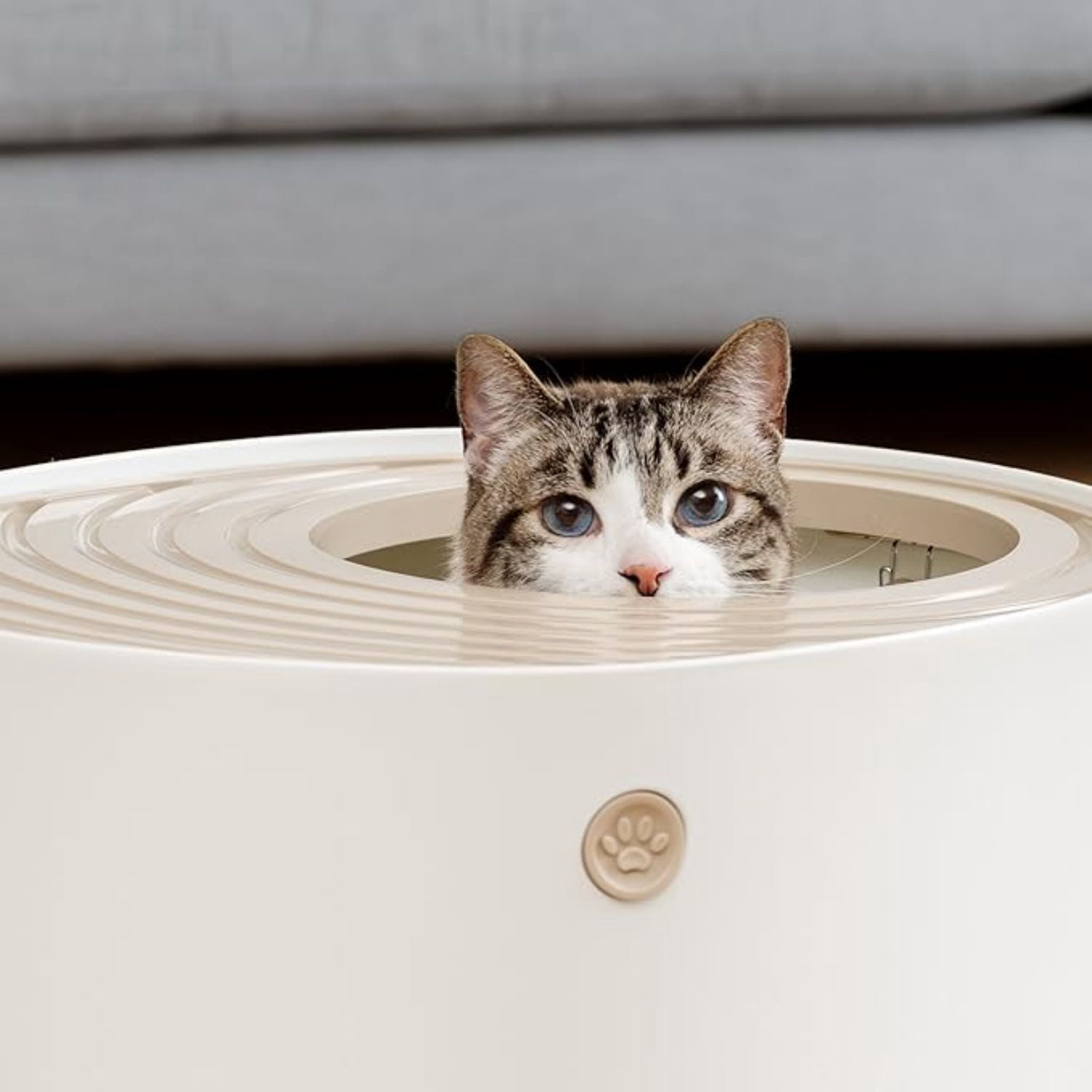 Cat Litter Box Large Top Entry with Lid Enclosed Covered Hooded Design Litter Catching Scatter Shield Pan Dog Proof Pet Proof Scoop Included Odor Control for Indoor Cats Kittens Beige/White