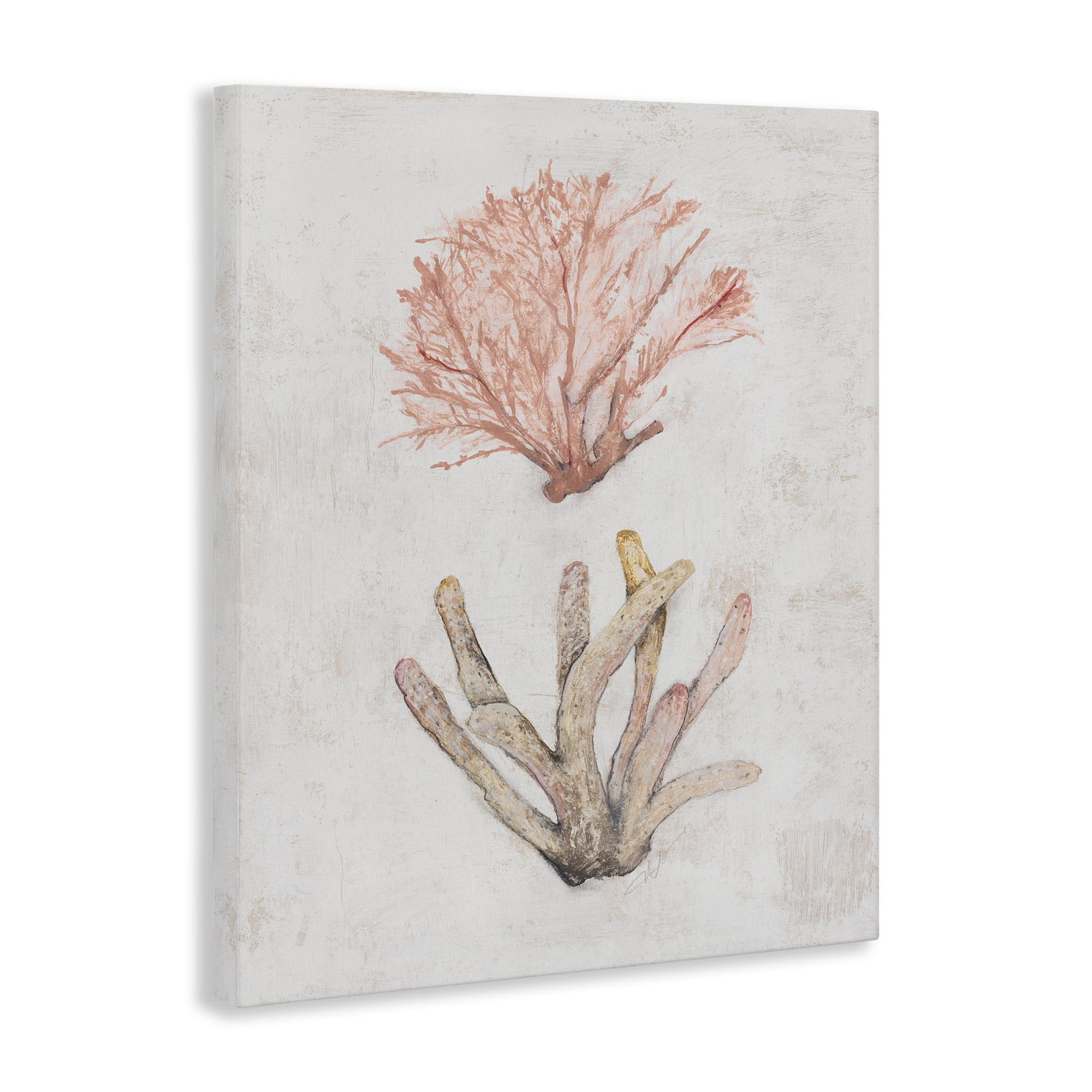 Stupell Industries Peach Coral Pieces Nautical & Beach Painting Wrapped Canvas Art Print Wall Art, 16 x 20