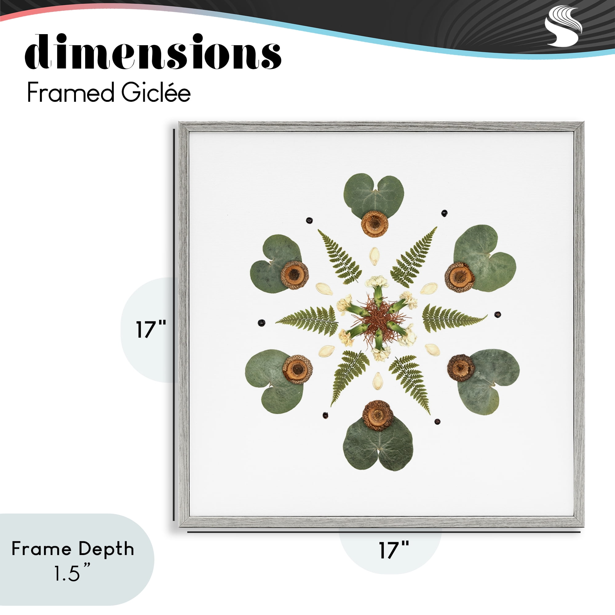 Stupell Industries Lily Pad & Fern Mandala Gray Framed Giclee Art, design by Beth Adoette