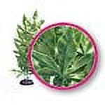 Weco Plant Hash Ornament 12 (Pack of 1)