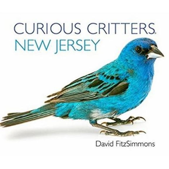 Pre-Owned Curious Critters New Jersey (Unknown) 193660745X 9781936607457