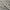 Black/Ivory, variant on SAFAVIEH Evoke Vana Abstract Runner Rug, Black/Ivory, 2'2" x 5'