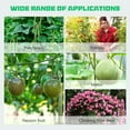 thumbnail image 3 of ABORON Extra Tall 79'' Green Polyethylene Steel Arbor, 3 of 9