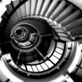 thumbnail image 3 of Peck, Gail 20x20 Black Modern Framed Museum Art Print Titled - Spiral Staircase, 3 of 5