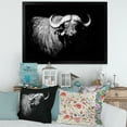 thumbnail image 3 of Designart 'Black and White Portrait Of Buffalo I' Farmhouse Framed Art Print, 3 of 4