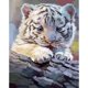 thumbnail image 1 of 5D DIY diamante pintura bebé tigre punto de cruz bordado costura mosaico Kits decoración del hogar FLhrweasw Nuevo, 1 of 7