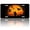 Duck Hunting Sunset, variant on 1pc Polished Aluminum License Plate Starry Night Skull Suitable All Vehicles, Scratch-resistant, Waterproof and Rustproof, Pre-drilled, Unisex, Perfect Gift, Car Accessory, Holiday Decor