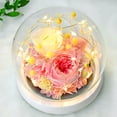 thumbnail image 4 of Decoración de flores eternas, rosa más cubierta de cristal de hortensia con luces, regalos navideños, regalos de cumpleaños para familiares y amigos, 4 of 5