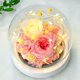 thumbnail image 4 of Decoración de flores eternas, rosa más cubierta de cristal de hortensia con luces, regalos navideños, regalos de cumpleaños para familiares y amigos, 4 of 5