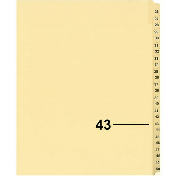 Davisgroup B1125-43 Diviseur d'Indice Numérique de Litige Individuel 43 - 1 Chaque