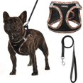 thumbnail image 1 of Arnés para perros AMTOR Small con correa para entrenamiento y caminata, 1 of 6