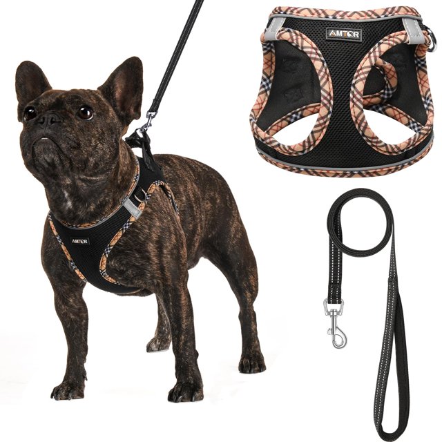 Arnés para perros AMTOR Small con correa para entrenamiento y caminata