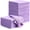 Purple, variant on 24 Pack Magic Cleaning Cloth, 16 x 16 Inch Microfiber Glass Cleaning Cloths Lint Free Microfiber Towels for Kitchen Dish, Windows, Mirror, Glass, (Grey)