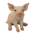thumbnail image 5 of MEDIUM SITTING PIG STATUE, 5 of 5