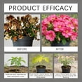 thumbnail image 6 of Soil Activator 7 Fl Oz, Water-Soluble Plant Growth Enhancer for Vegetables & All Plants.(3Pcs), 6 of 6