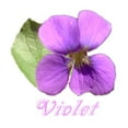 thumbnail image 2 of CafePress - Violet Infant Bodysuit - Baby Light Bodysuit, Size Newborn - 24 Months, 2 of 4