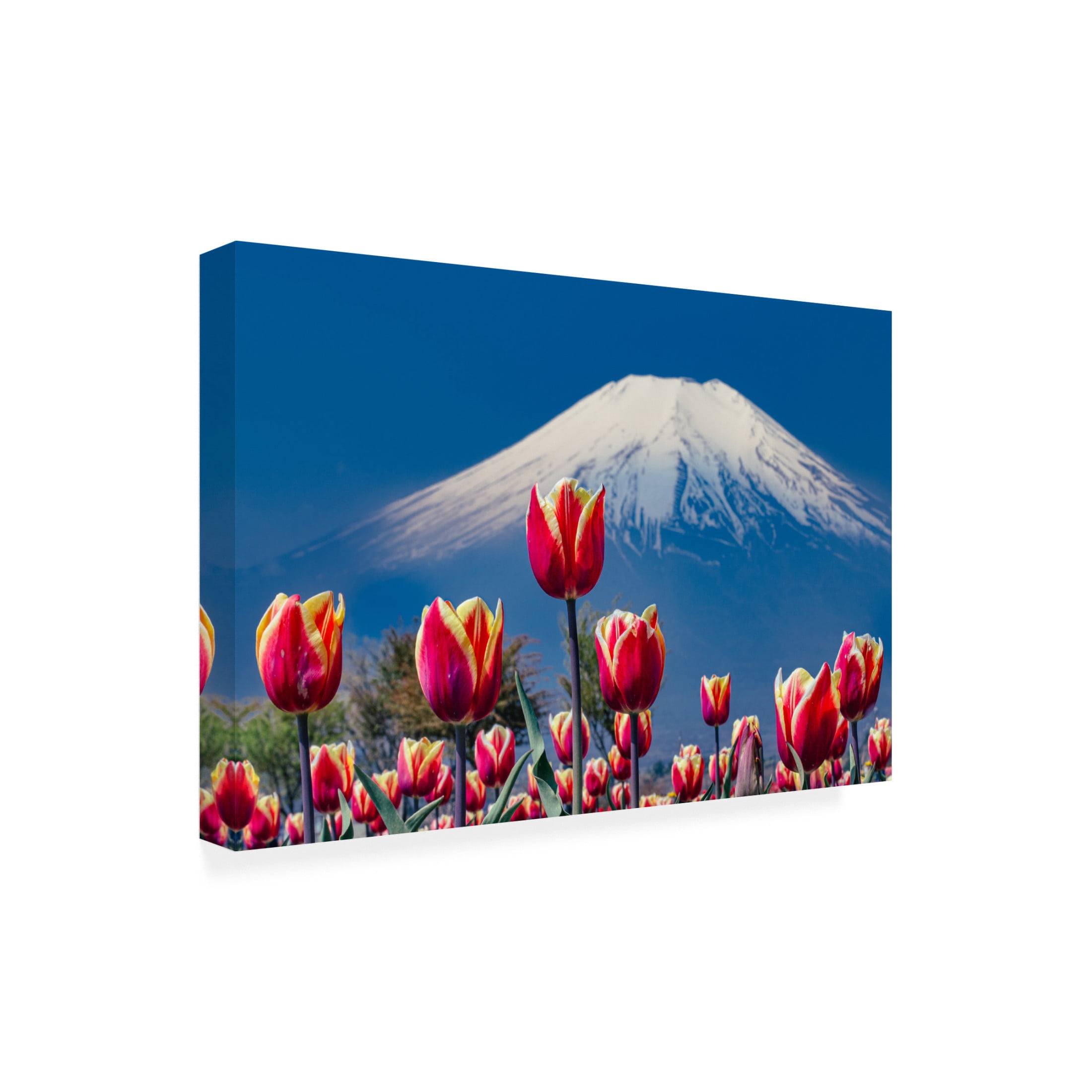 Trademark Fine Art sirouminami Tulips and Mt Fuji Canvas Wall Art