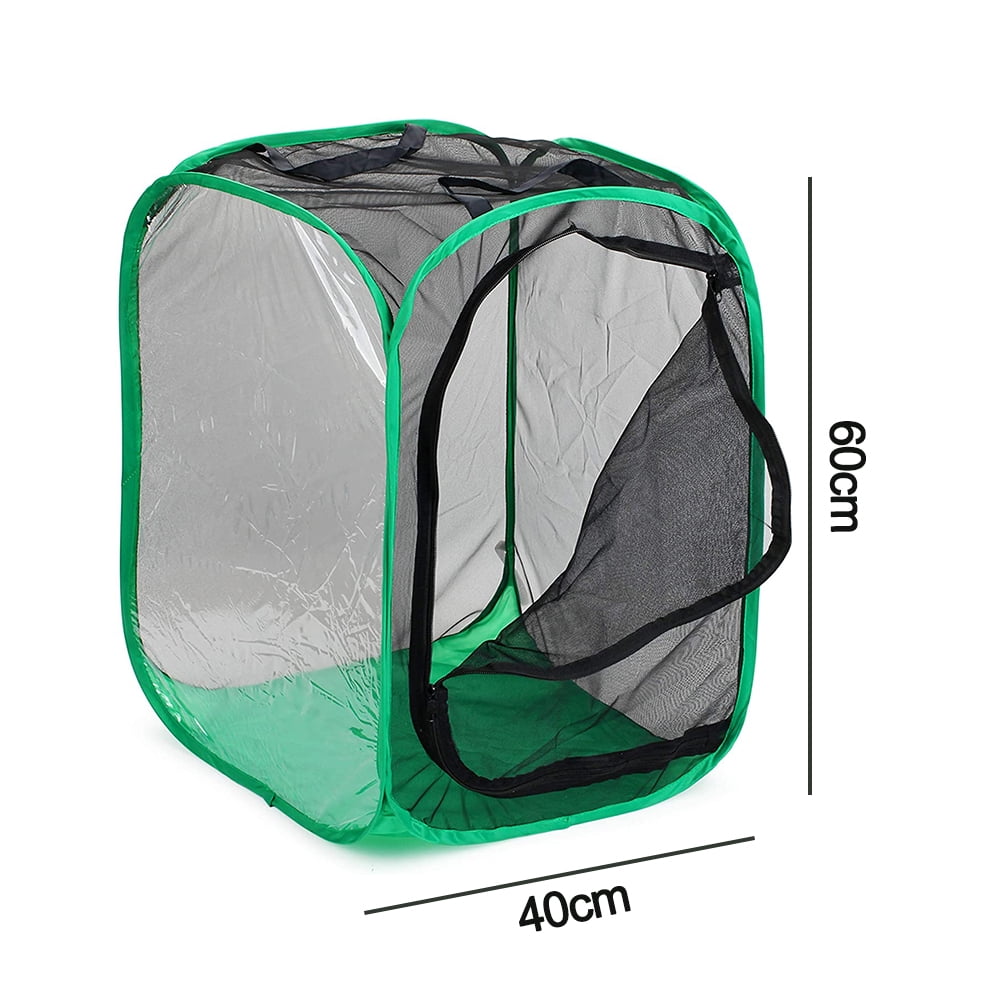 Collectfun Butterfly Habitat Insect Cage Terrarium Pop-up Caterpillars House 12 x 14 inches Tall 2pcs 