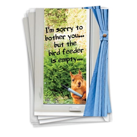NobleWorks Pack of 3 Funny Birthday Greeting Cards with Envelopes (1 Design, 3 Each) Empty Bird Feeder C2561BDG-C3x1
