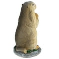 thumbnail image 5 of Adorable Marmot Ornament Micro Landscape Resin Animal Craft Creative Bonsai Decor, 5 of 5