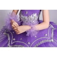 thumbnail image 6 of IROINNID Girls Tights Ballet Suit Sparkling Ballet Skirt Princess Dress, 6 of 9