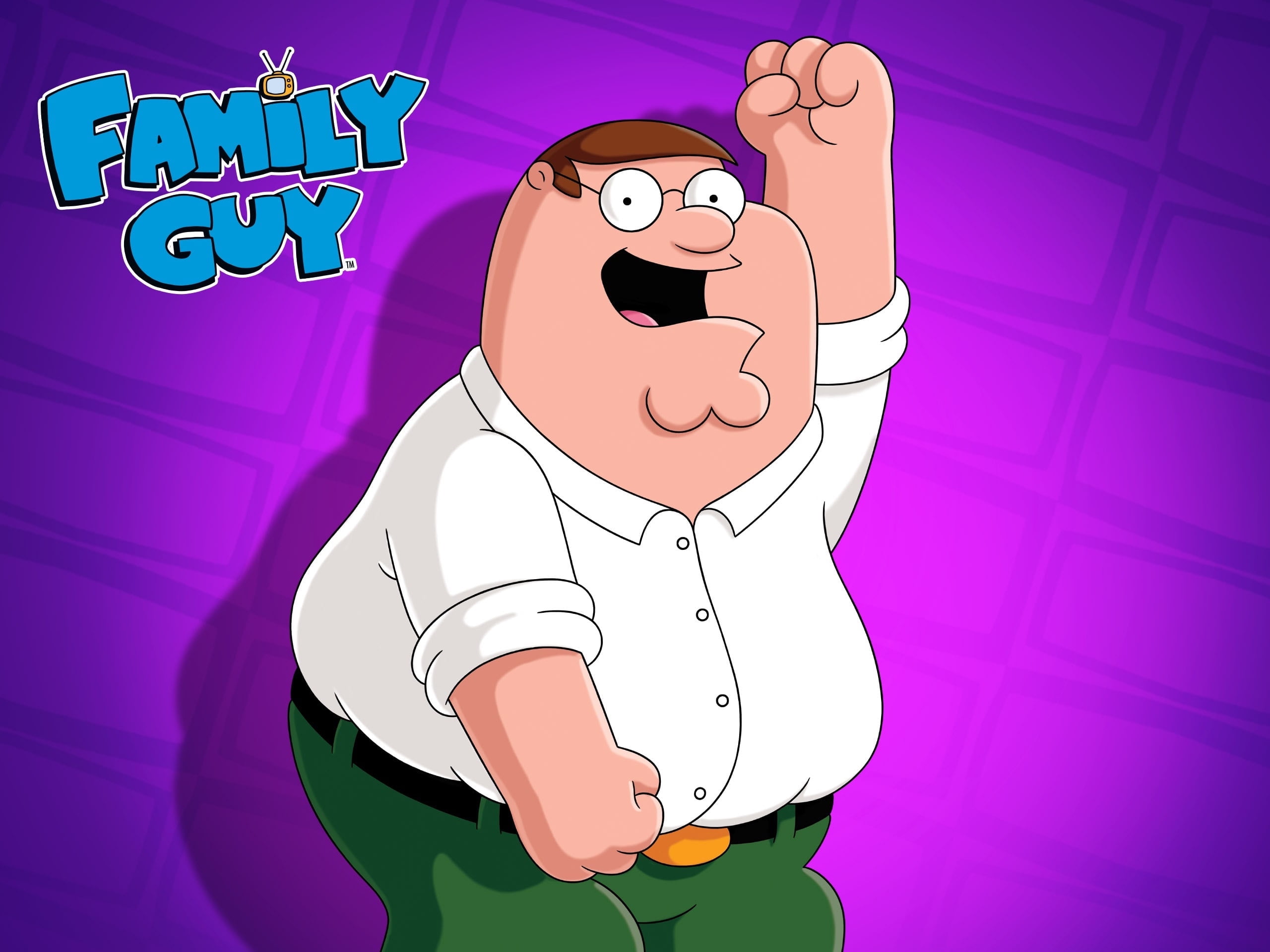 Family Guy Complete Series Seasons 1-22 (DVD)