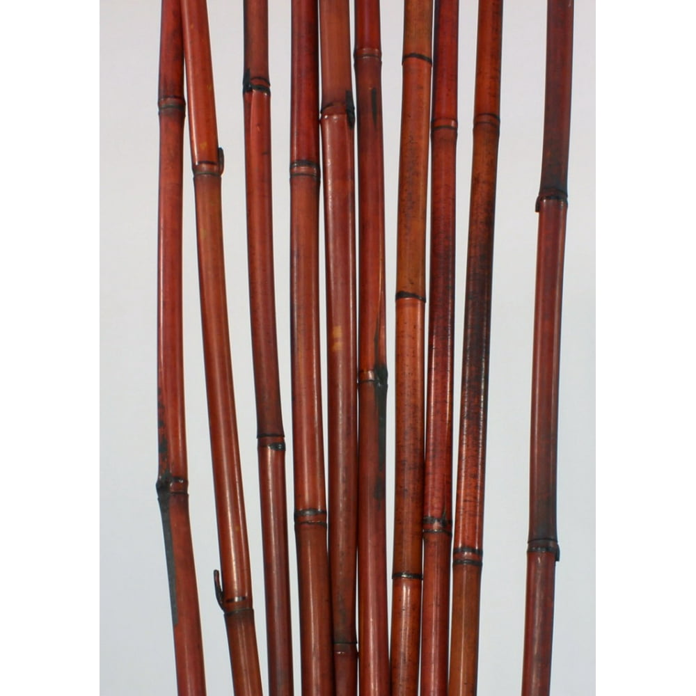 GreenFloralCrafts Decorative Bamboo Poles, 57 Inches