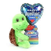Valentine's Day Green Turtle Plush with Chocolate Candy Gift, by Way To Celebrate