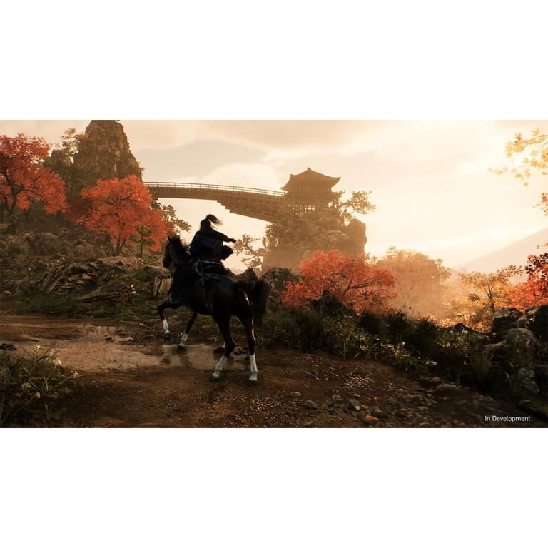 Rise of the Ronin - PlayStation 5 Action Adventure Game - Walmart.com