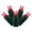 Magenta, variant on Vickerman 34' Red Single Mold Wide Angle LED Christmas light set, Green Wire