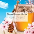 thumbnail image 3 of Little Trees Air Freshener Cherry Blossom Honey Fragrance 24-Pack, 3 of 8