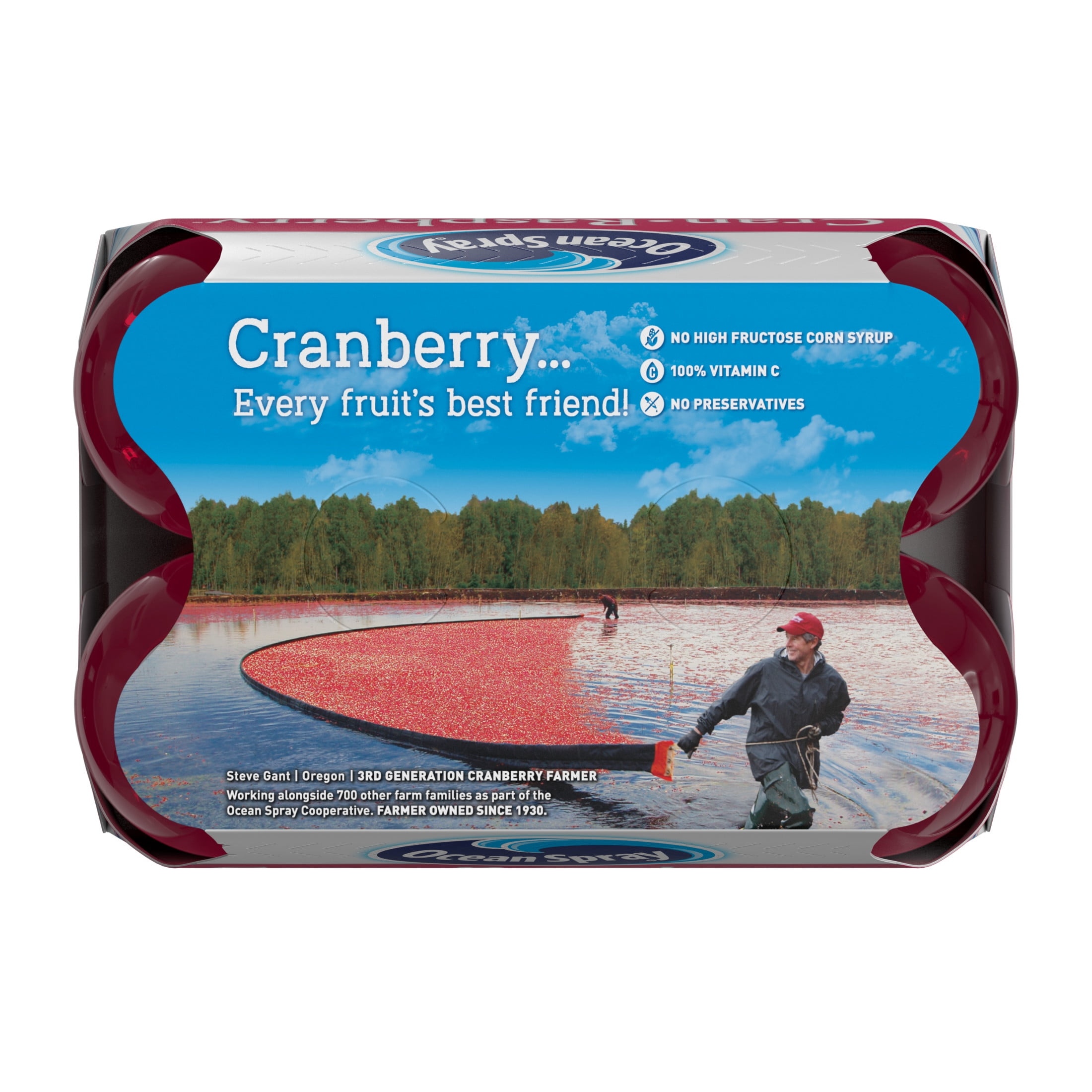 Ocean Spray® Cran-Raspberry® Cranberry Raspberry Juice Drinks, 10 fl oz Bottles, 6 Count