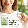 thumbnail image 5 of Aceite De Orégano ORE, 300 Capsulas Orégano, 80% Carvacrol, 5 of 5