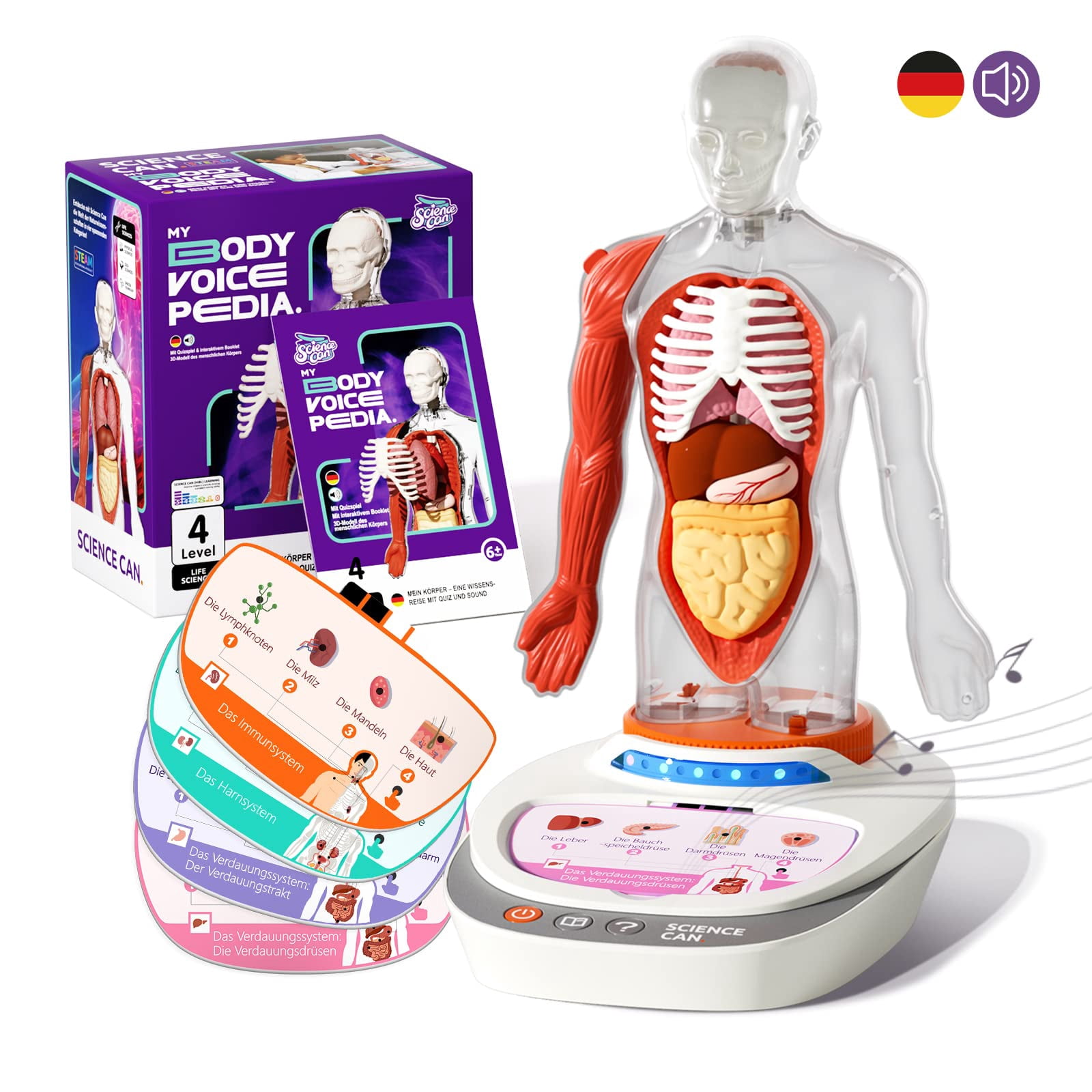 Human Body Model for Kids, Interactive Human Anatomy Talking Model - 11 ...
