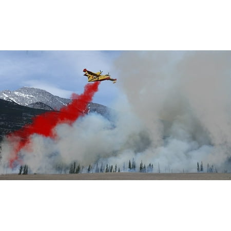 Canvas Print Forest Fire Fire Fighting Aircraft Aircraft Fire Stretched Canvas 10 x